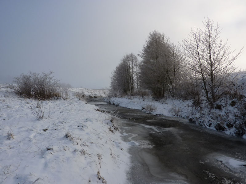 Frozen River